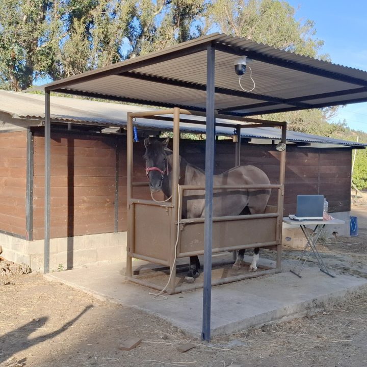 centro para reproduccion equina