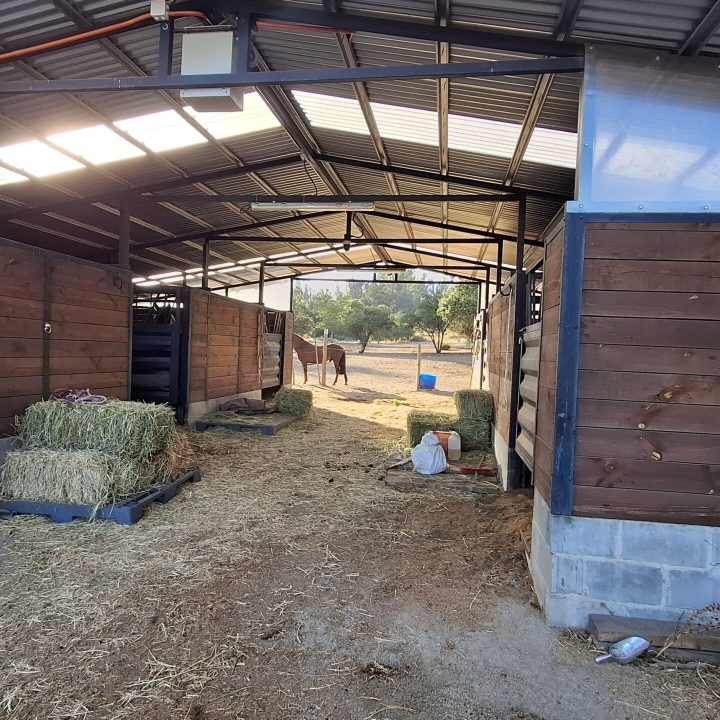 WhatsApp Image 2025-02-03 at 09.06.51